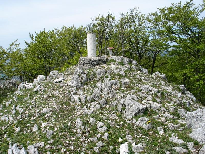 Tontorra
