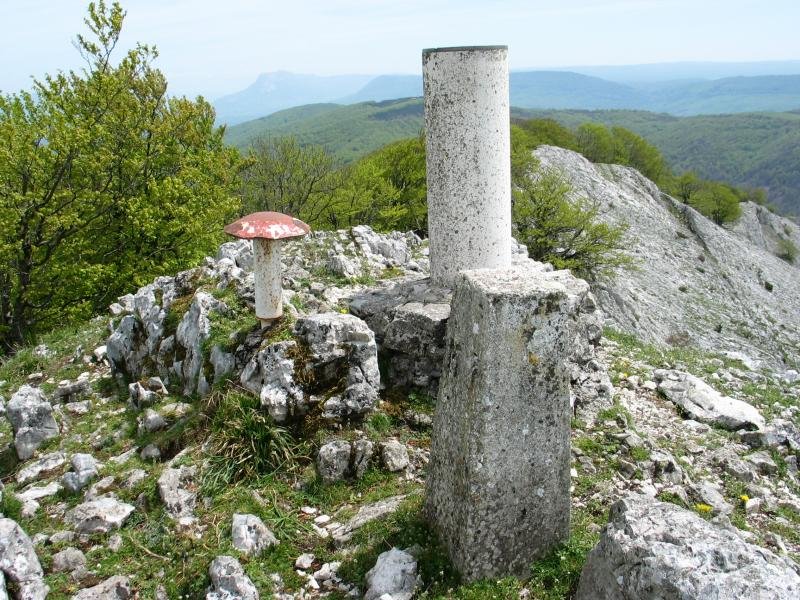 Tontorra