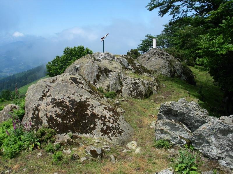 Tontorra