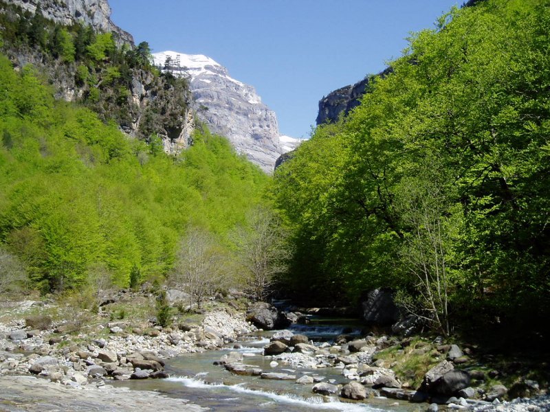 La Ripareta