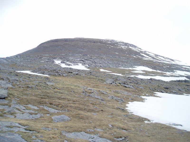 Ekialdetik ikusita