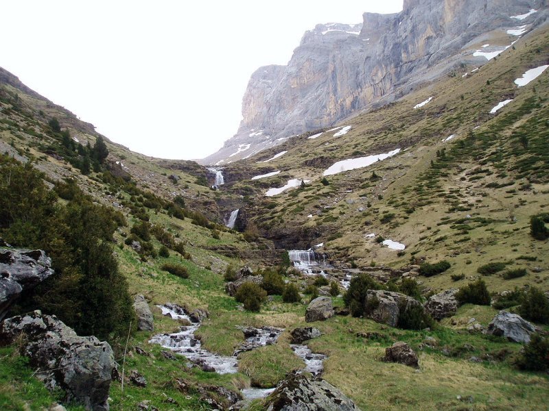 Fon Blanca