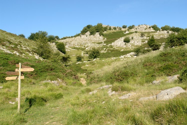 Gazumeko bidea