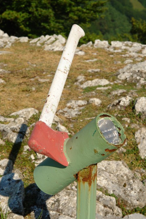 Buzoia