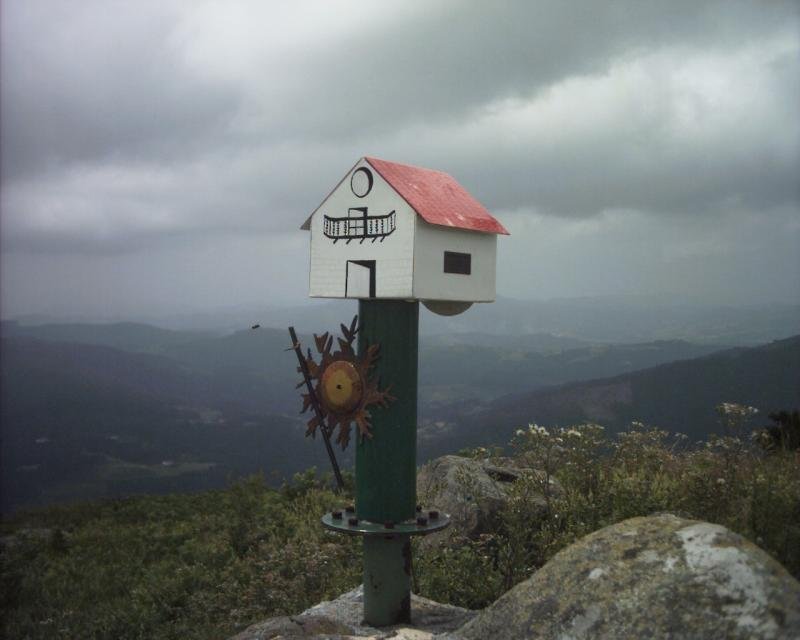 buzoia