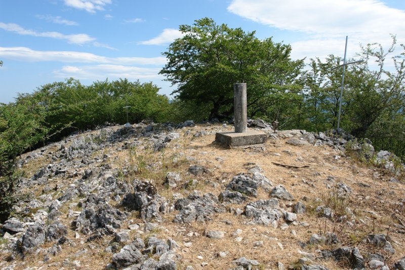 Tontorra