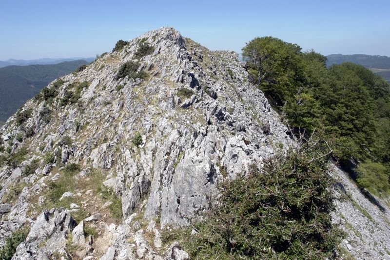Tontorra ekialdetik