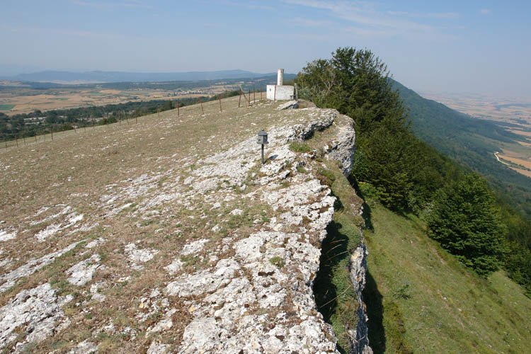 Tontorra ekialdetik