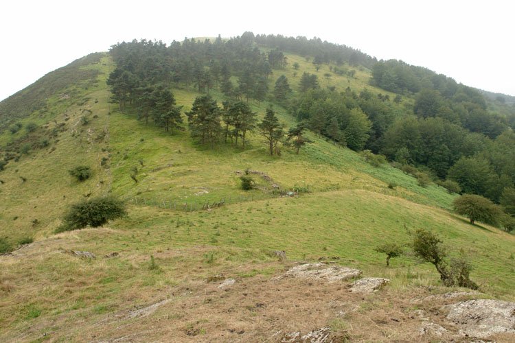 Ekialdeko bizkarra