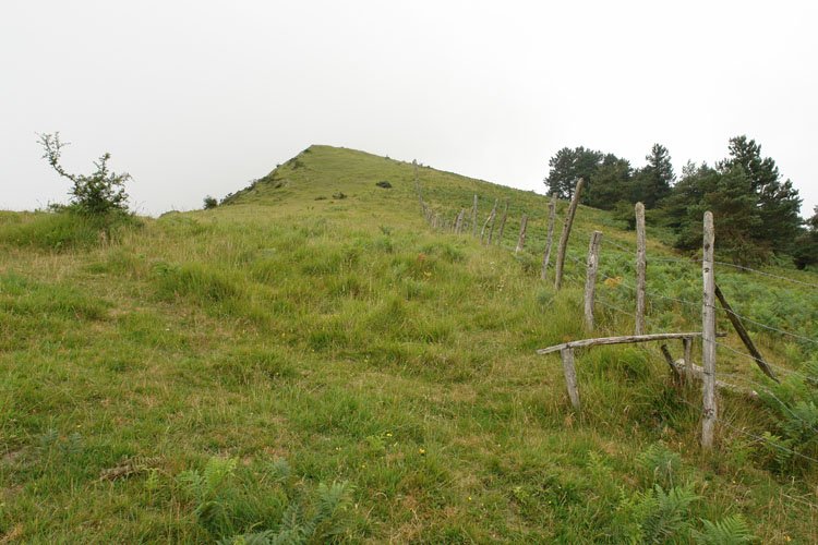 Ekialdeko bizkarra