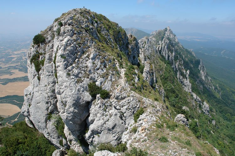 Tontorra ekialdetik