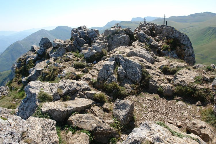 Tontorra