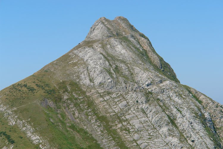 Tontorra ekialdetik