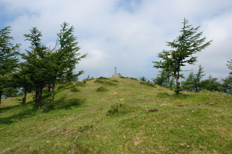 Tontorra