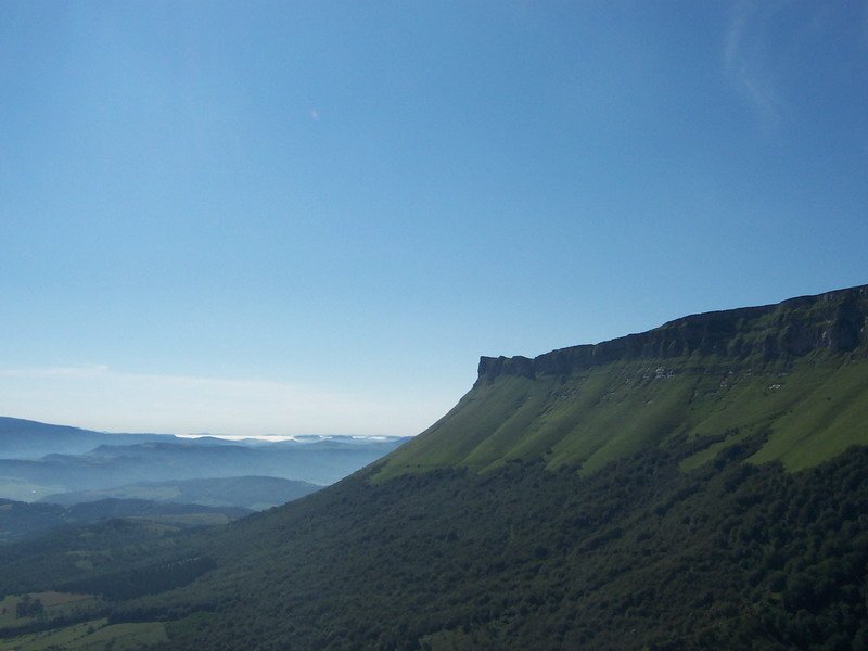 Tologorri