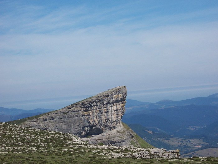 Ungino
