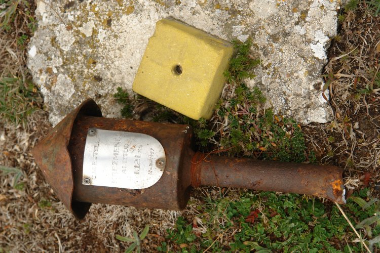 Buzoi zaharra