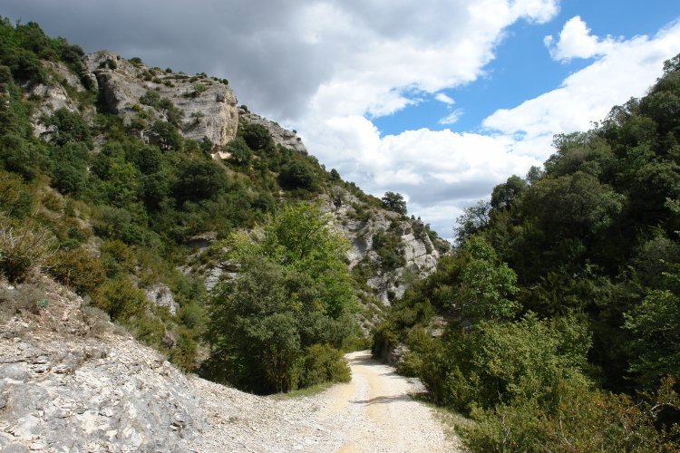 Irantzuko arroila