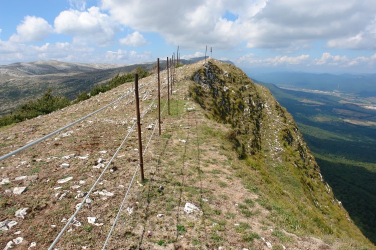 Tontorra
