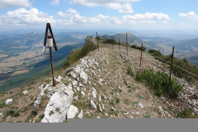 Tontorra