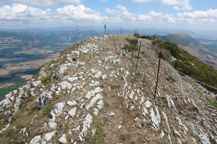 Tontorra