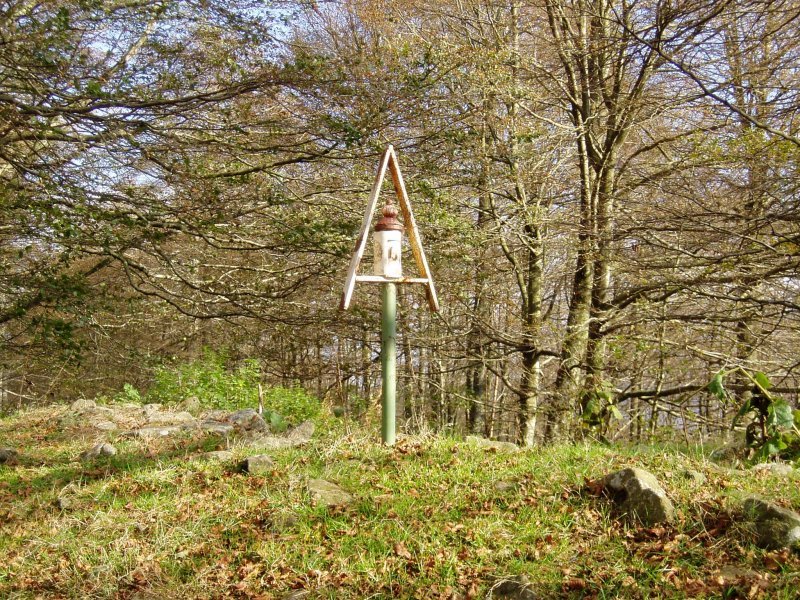 Buzoia