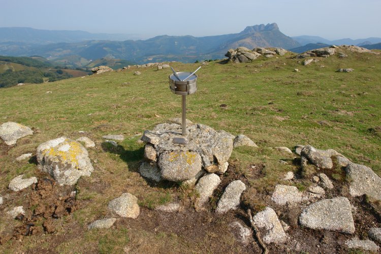 Tontorra