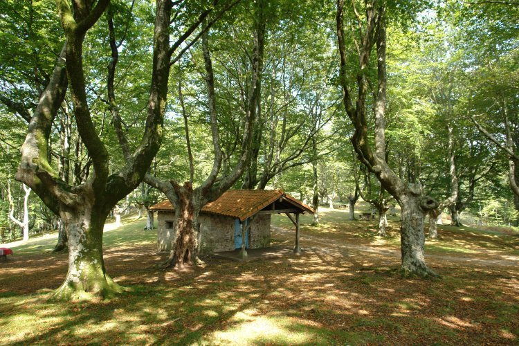 Oihalekuko borda
