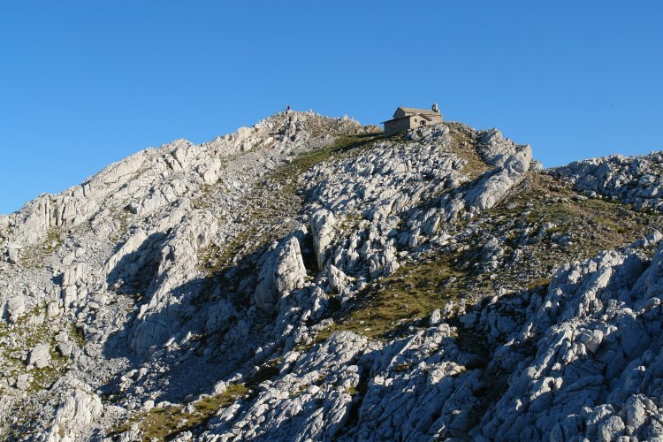 Tontorra ekialdetik