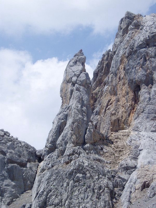 Bustamante orratza