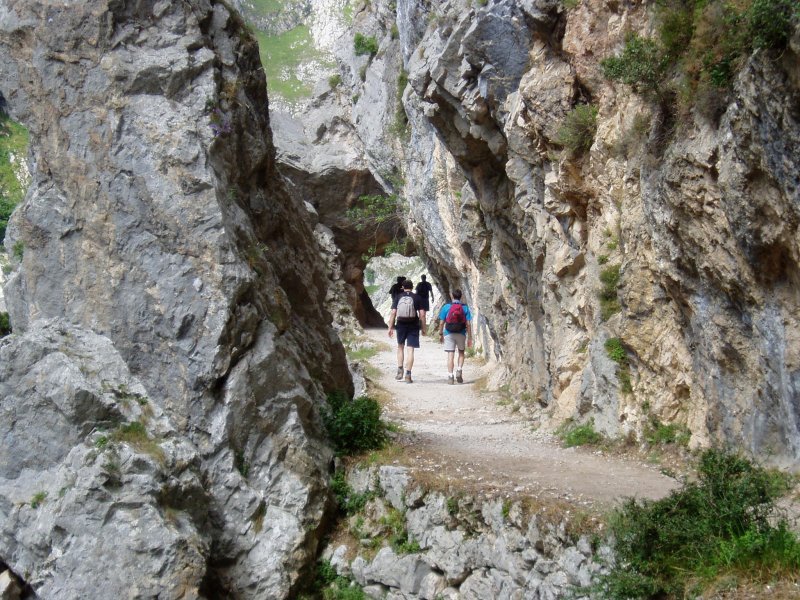 Bideko pasarte bat
