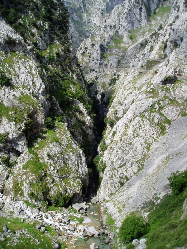 La Viña inguruan