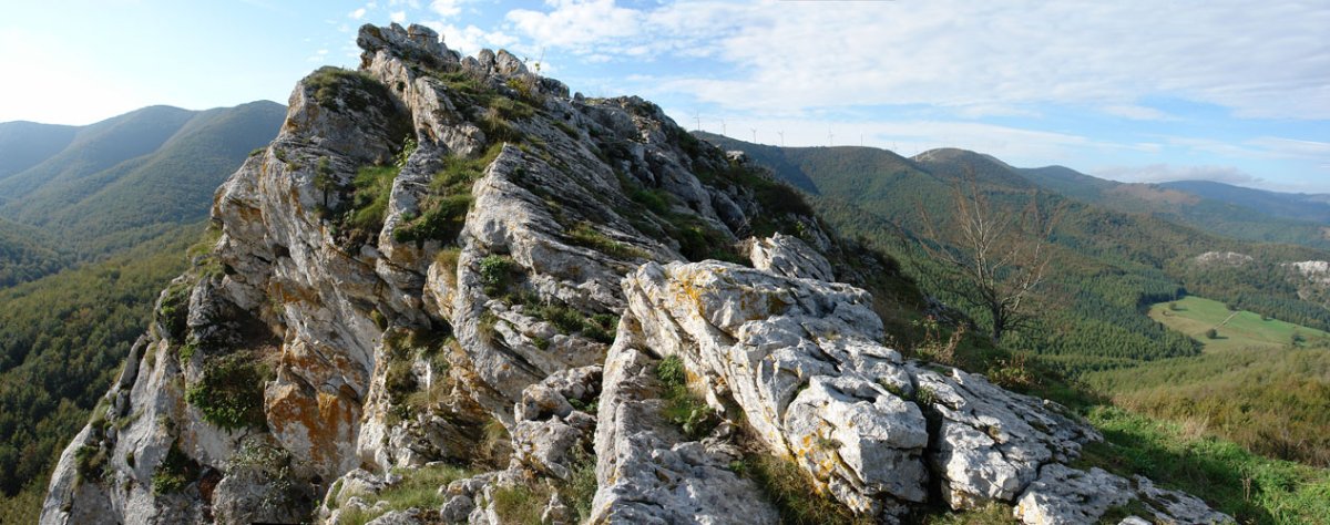 Tontorra