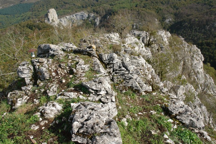 Arriona: tontorra