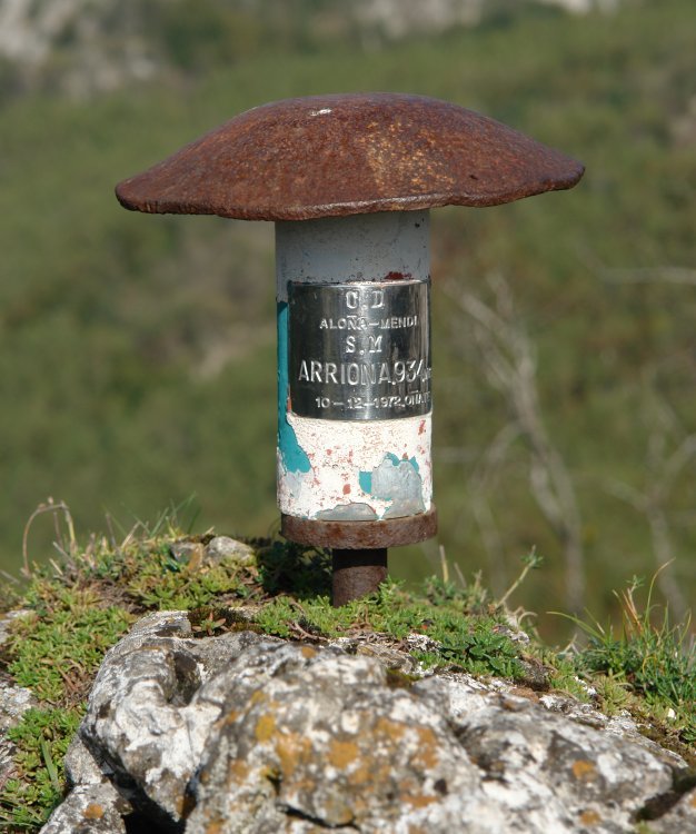 Arriona: buzoia