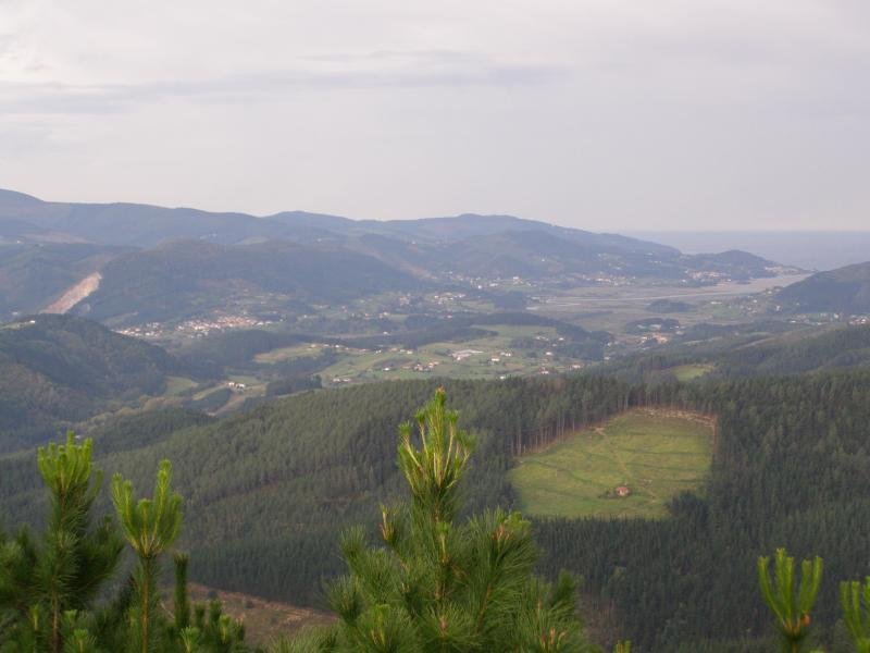 Kanponako tontorra