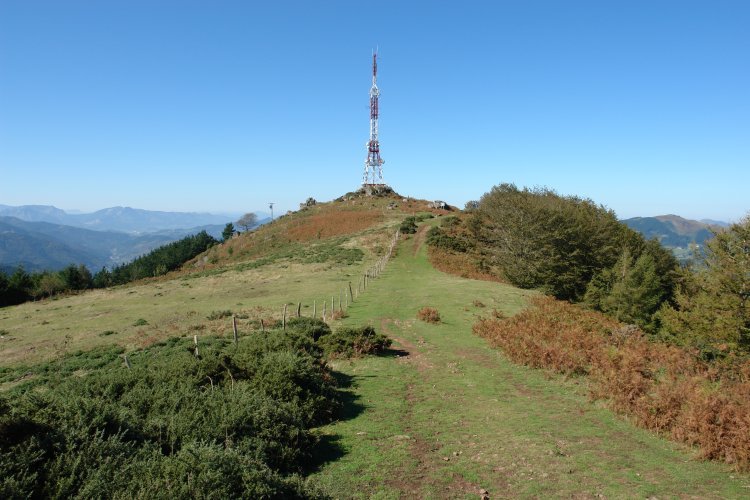 Tontorra ekialdetik
