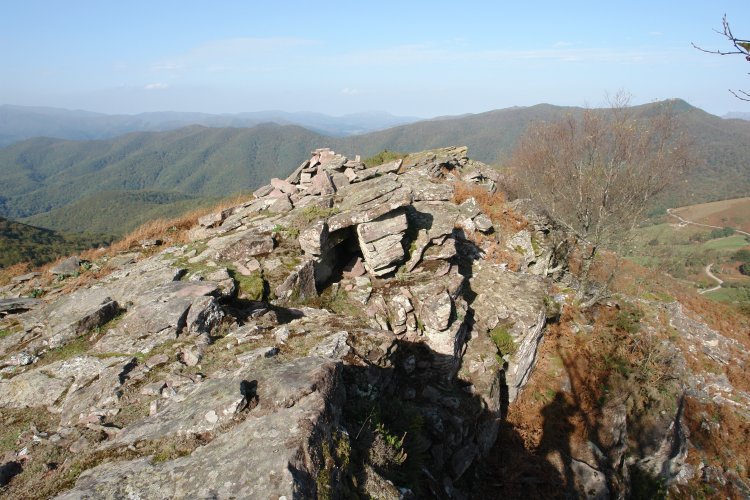 Larrazu: tontorra