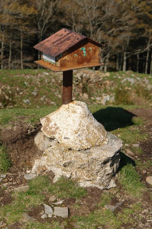 Buzoia