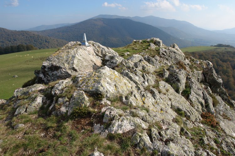 Tontorra