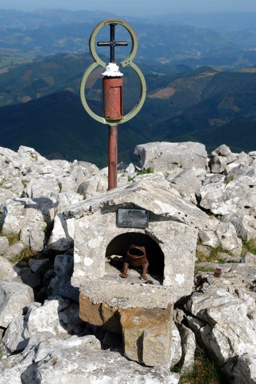 Buzoia