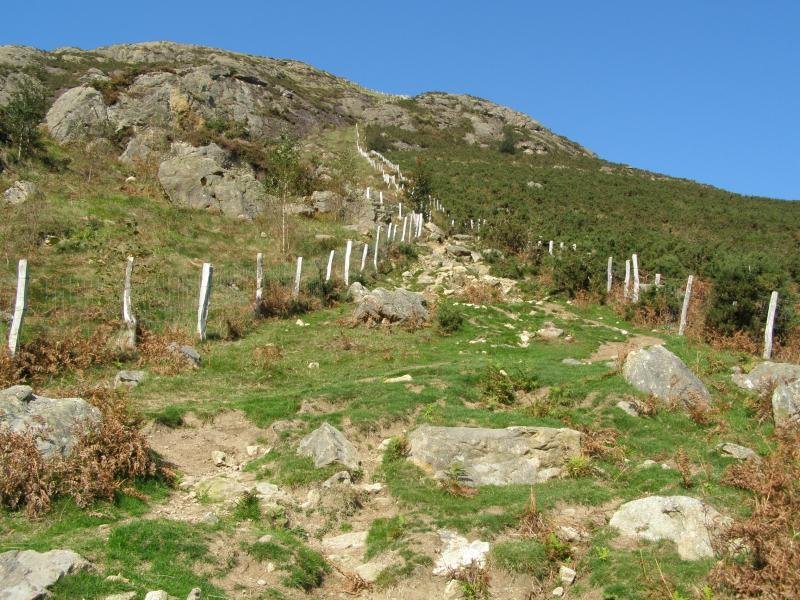 erroilbide