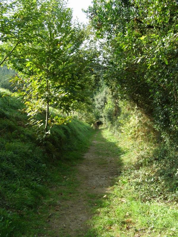 Ibilbidea
