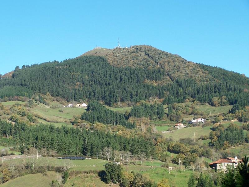 Apotza ingurutik