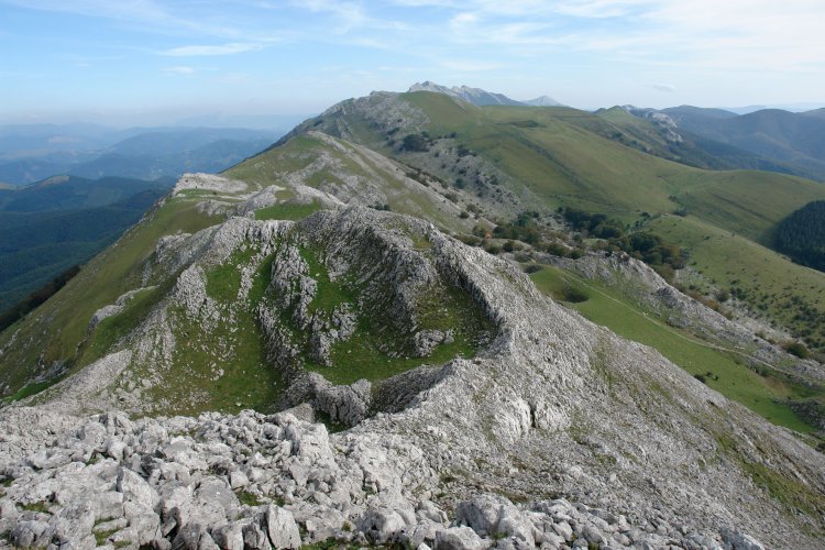 Ekialdera begira
