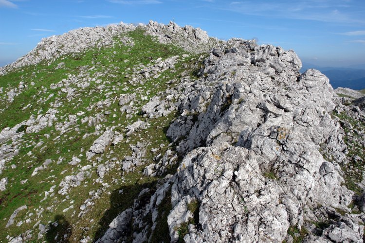 Tontorra