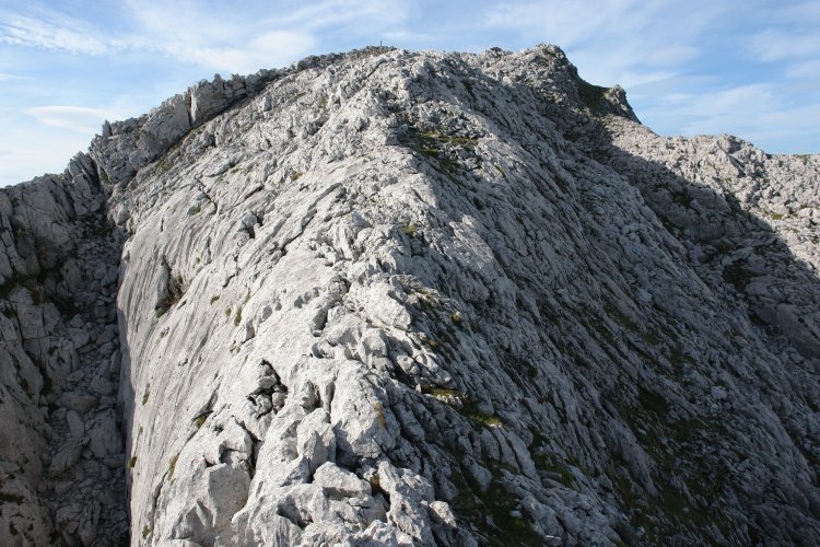 Tontorra