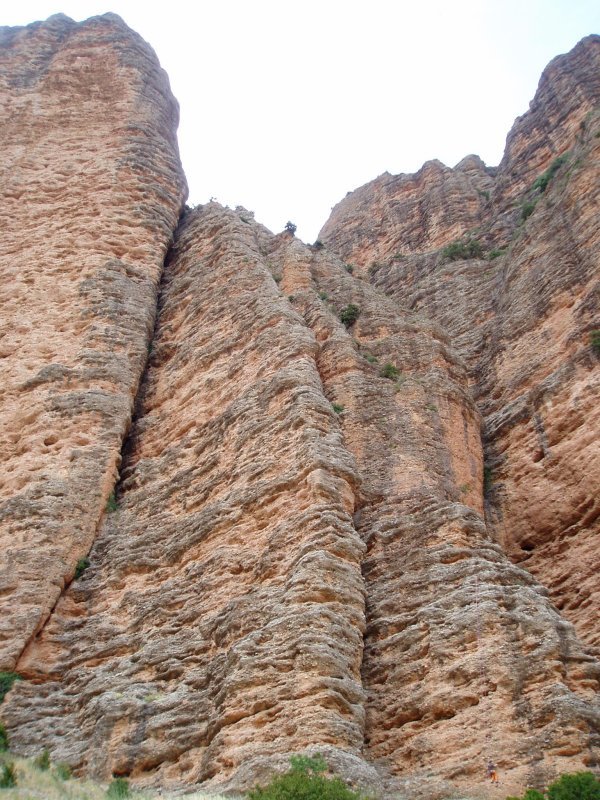 Paretatzarrak