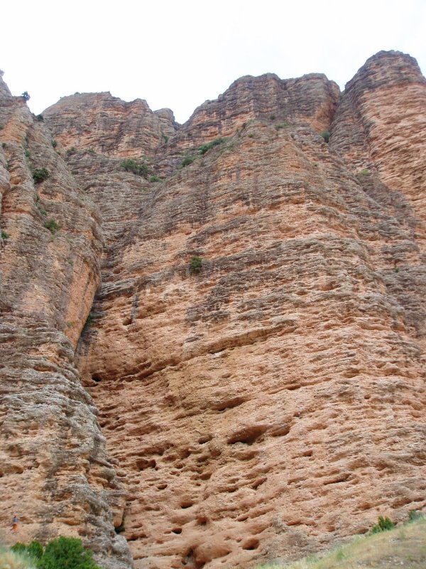 Paretatzarrak