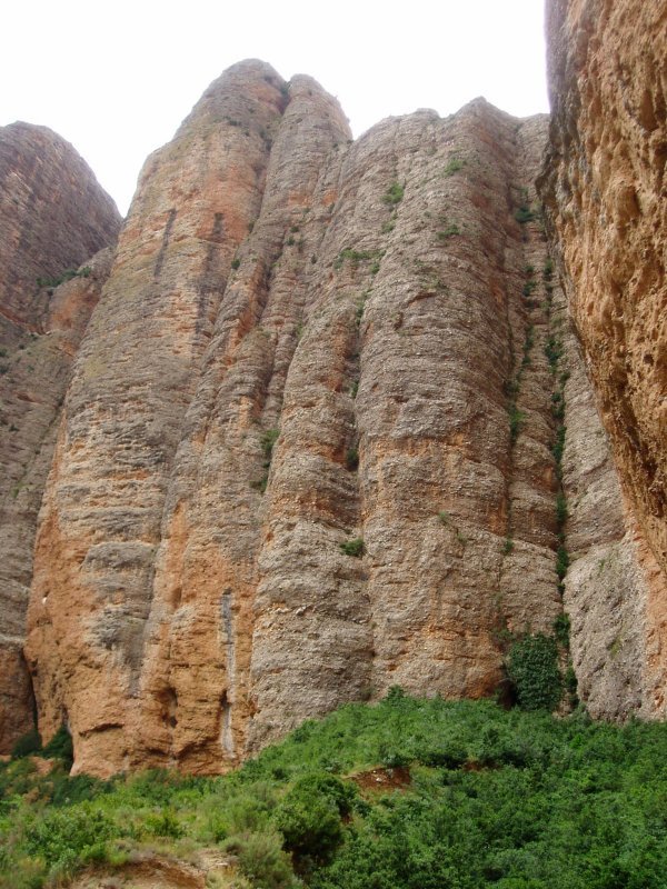 Paretatzarrak
